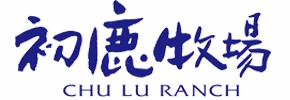 1688356291_logo-cyb