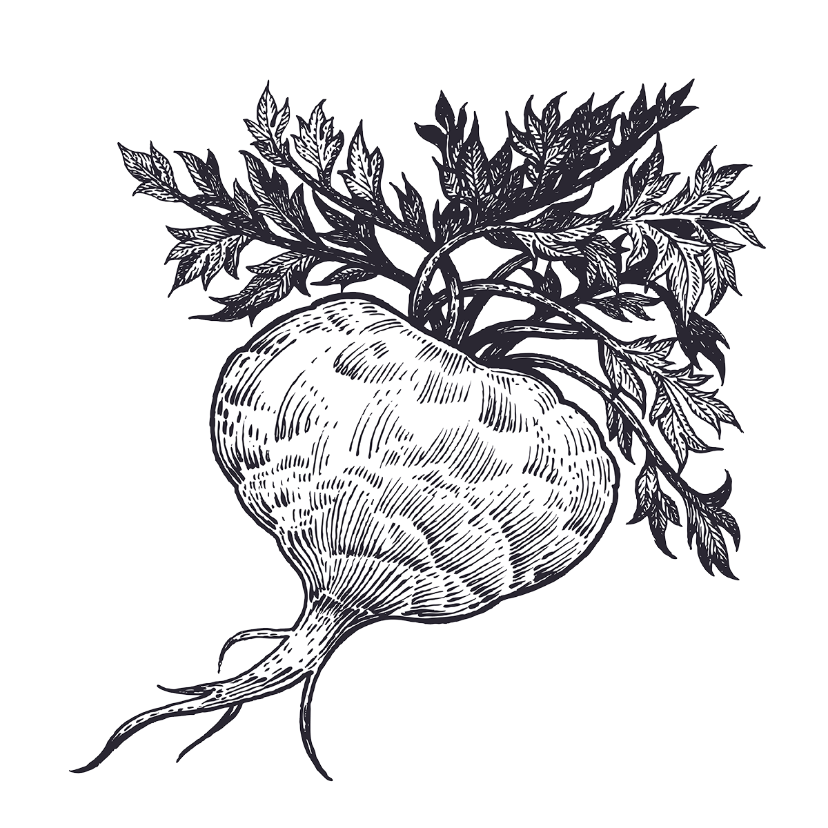 馬卡插圖