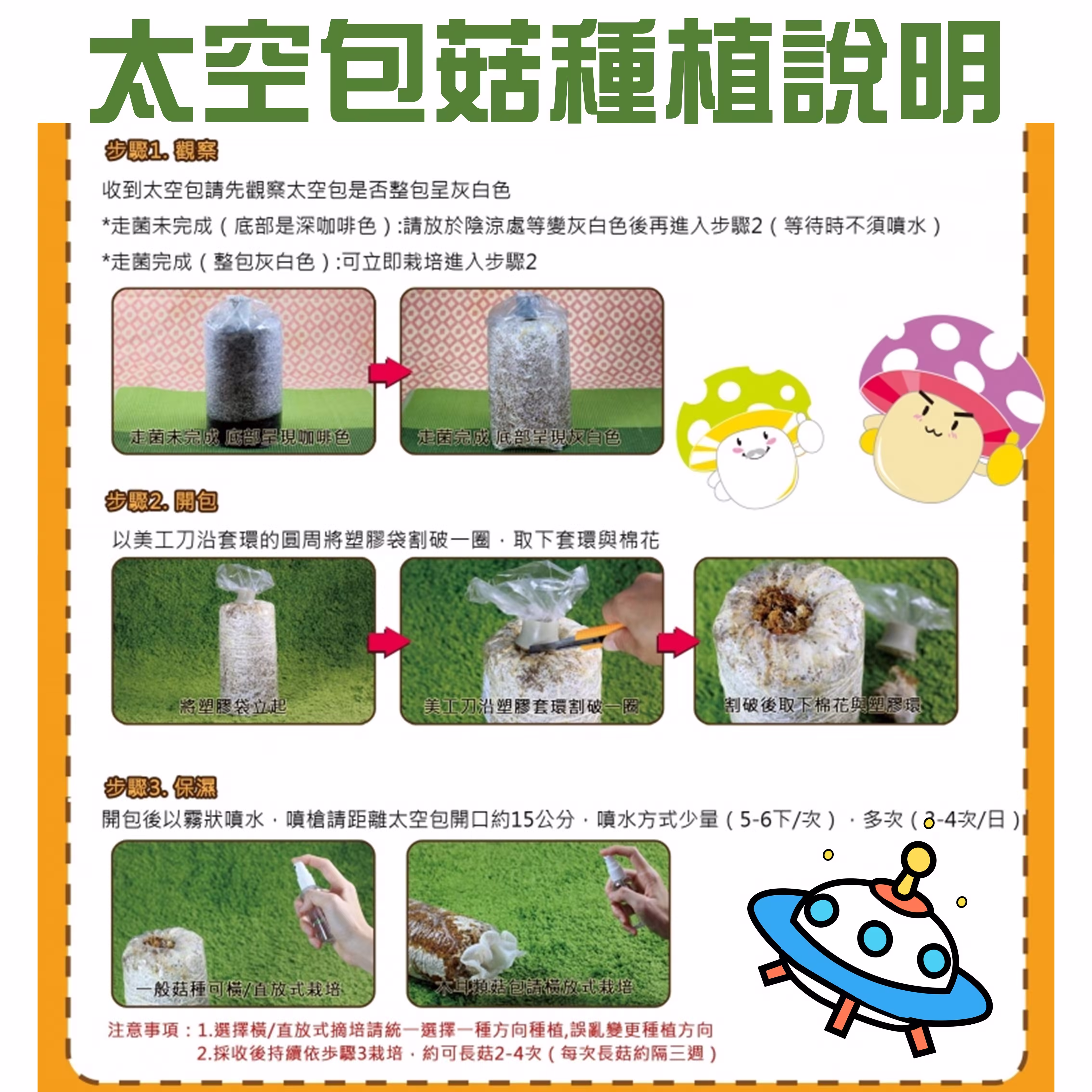 豐年農場太空包菇