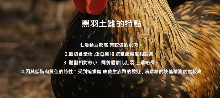 螢幕擷取畫面 2025-11-12 113640