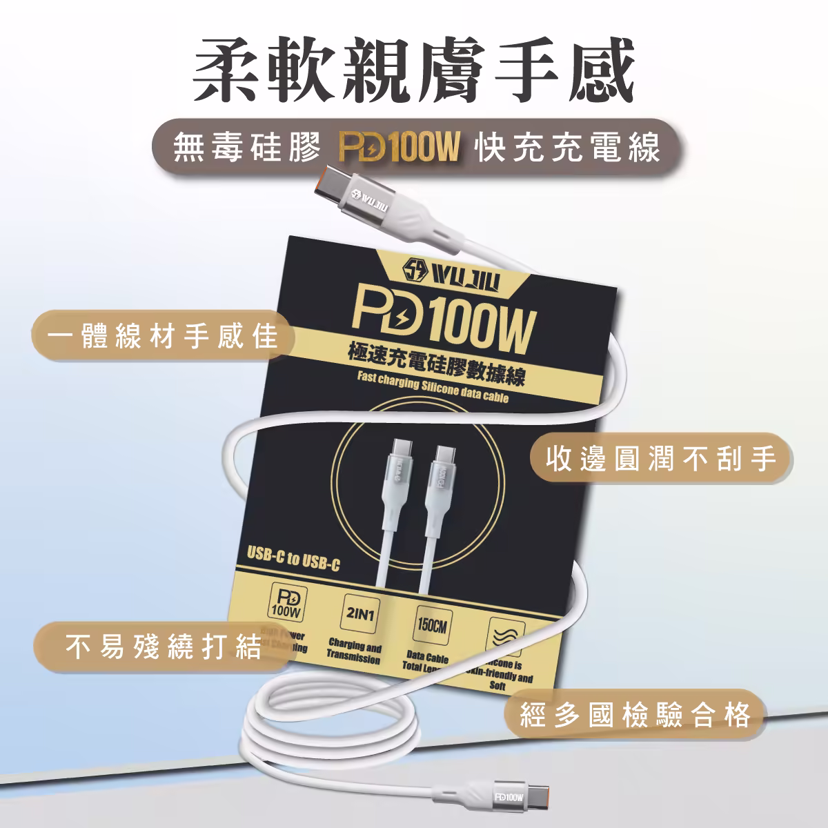 伍玖科技 PD100W 急速充電線 Type-C to Type-C