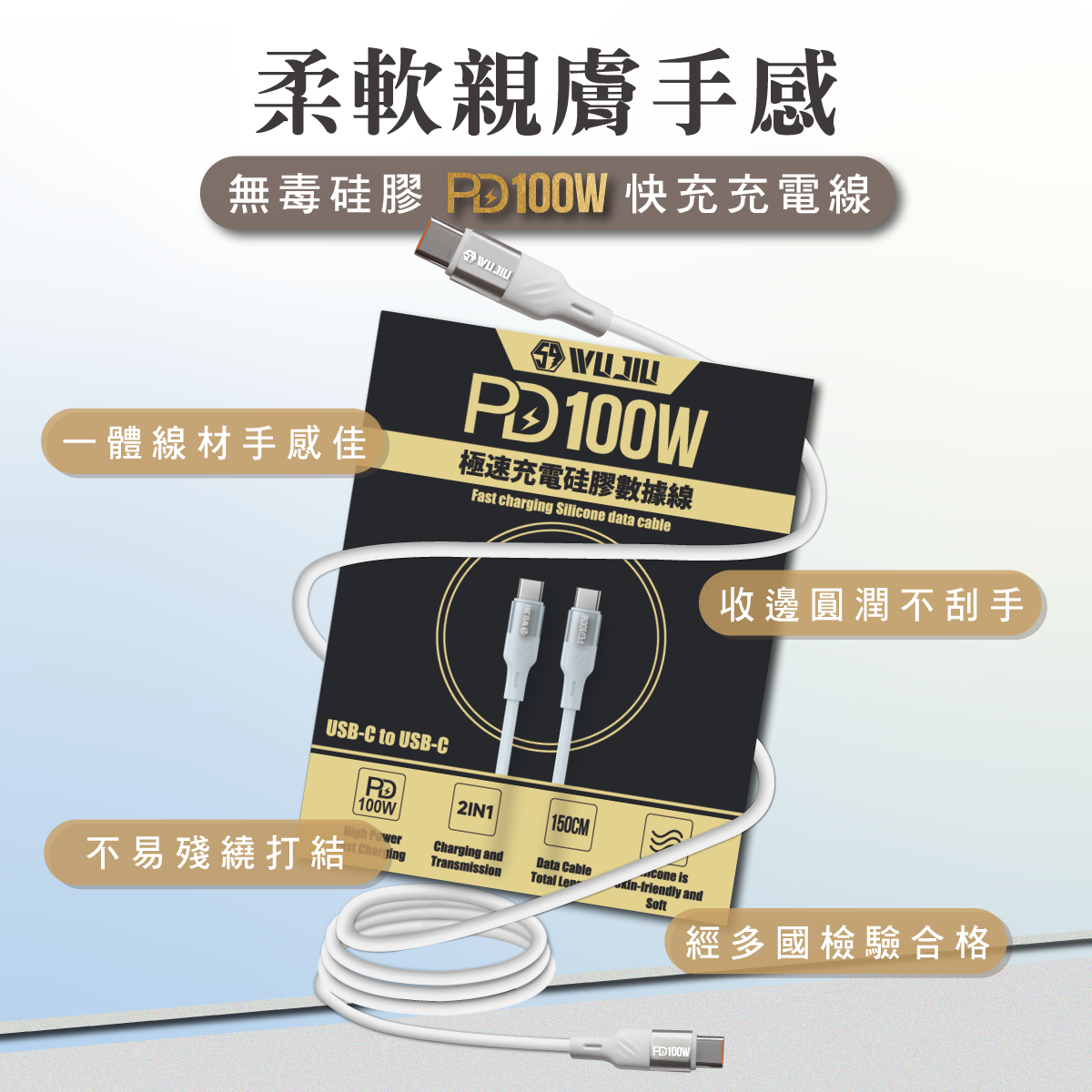 伍玖科技 PD100W 急速充電線