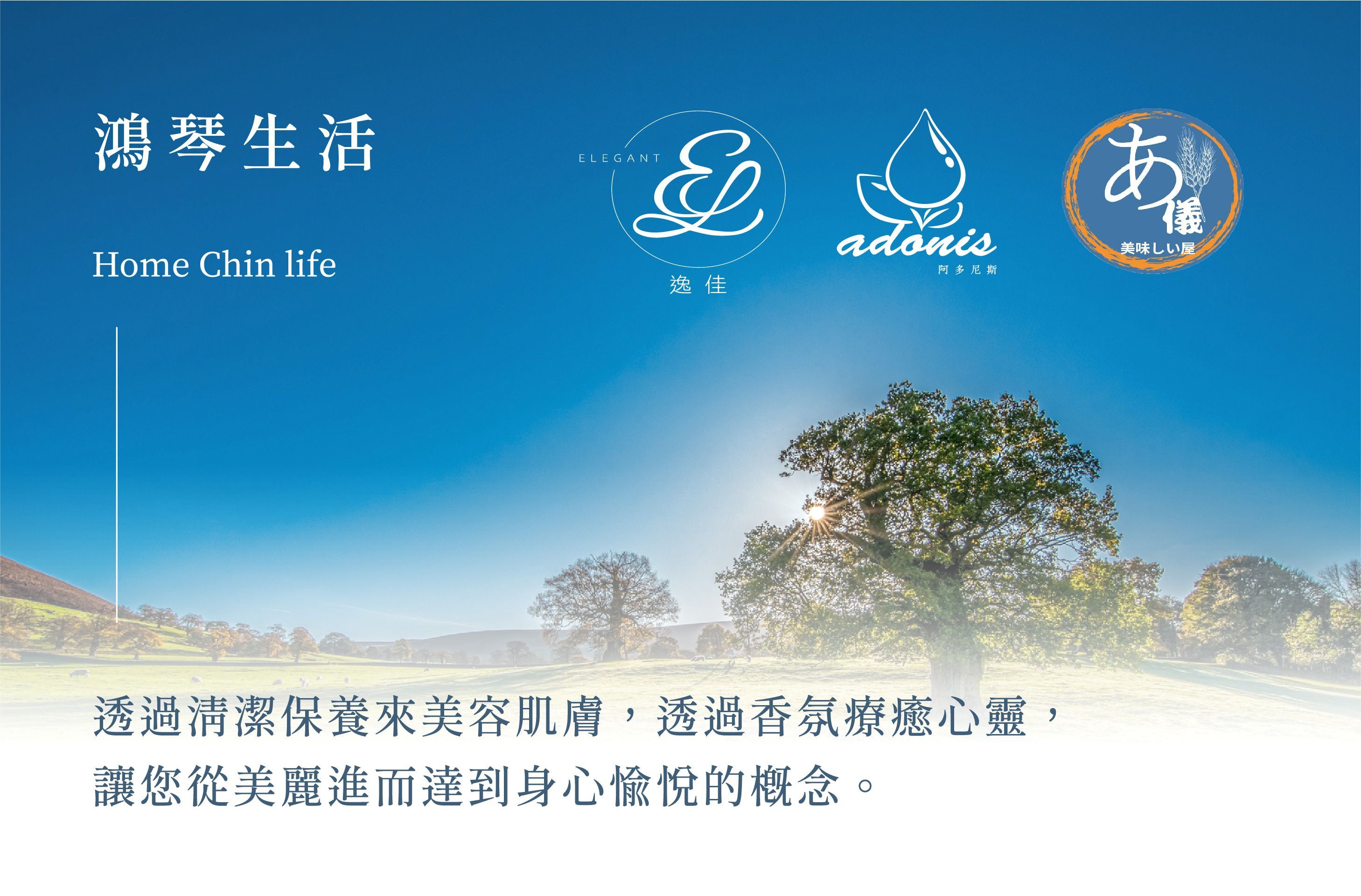 鴻琴生活OL