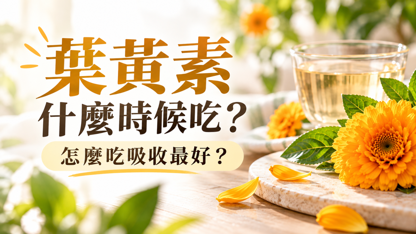 葉黃素什麼時候吃、怎麼吃吸收最好一次搞懂