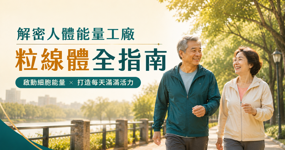 粒線體全指南
