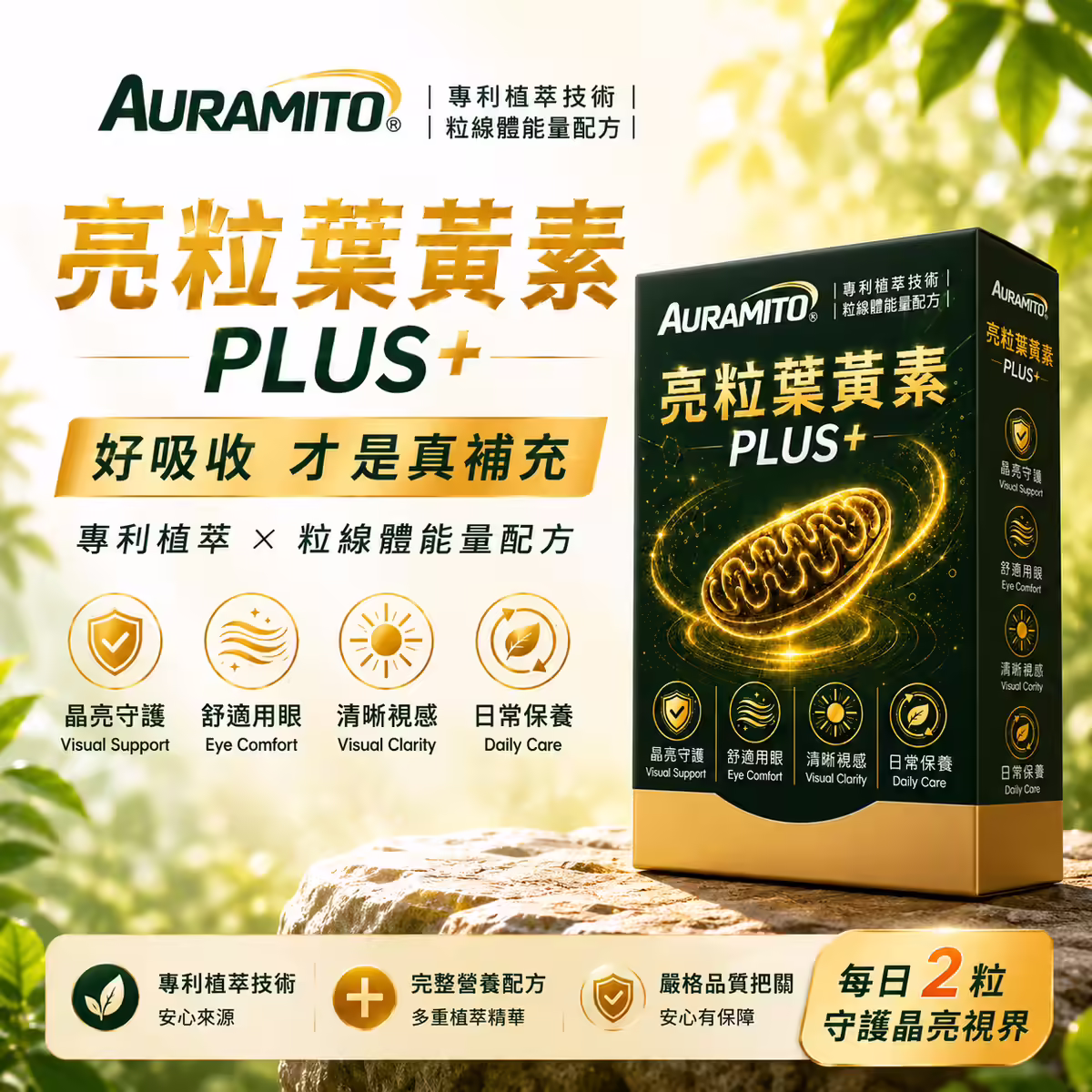 亮粒 PLUS+