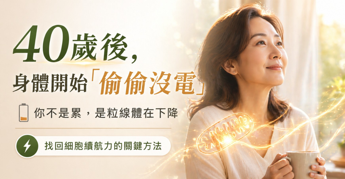 40+ 斷電危機？關鍵就在粒線體