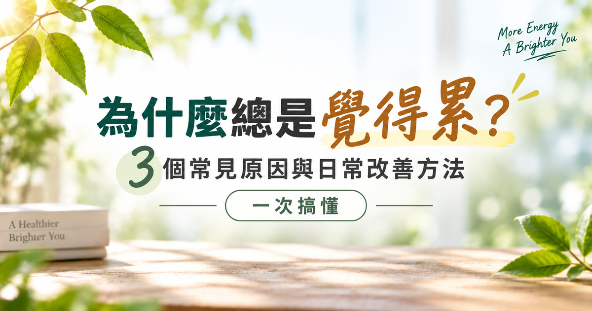 3個常見問題，改善日常疲倦