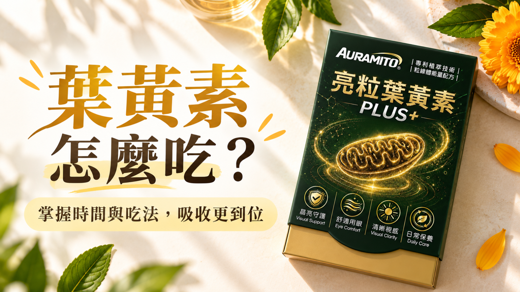 怎麼吃葉黃素才能吃到位示意圖