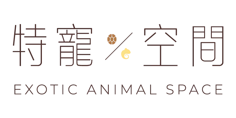 23423434