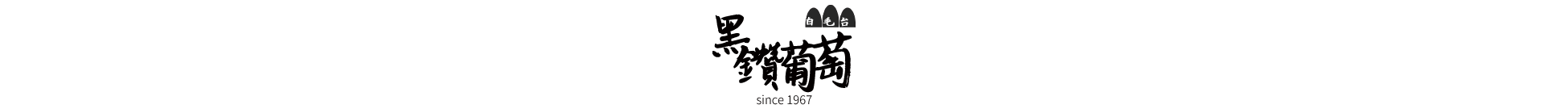 電腦版LOGO