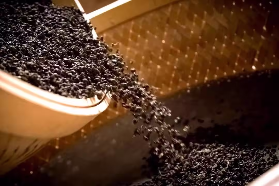 在炭焙的世界裡，一樣的茶葉可以變出無數種味道