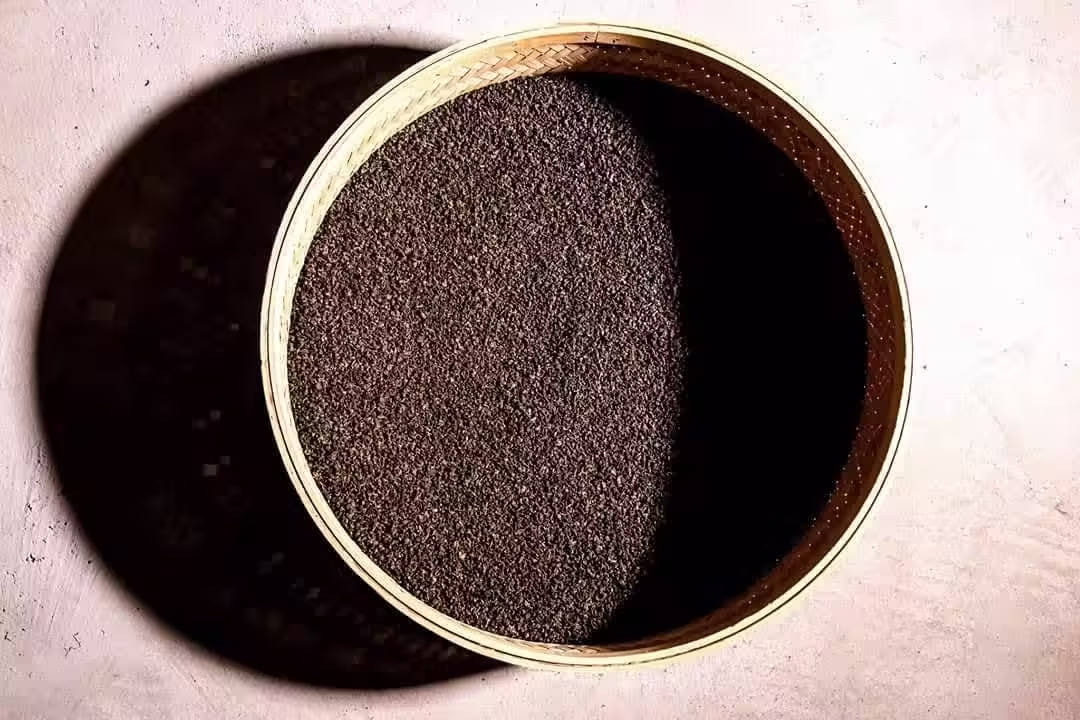 音樂與入門焙茶的回憶