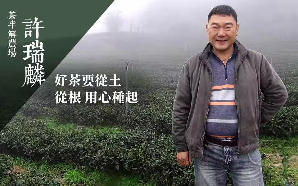 許瑞麟站在奇萊茶區茶園中