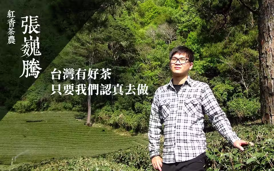 張巍騰在紅香茶區