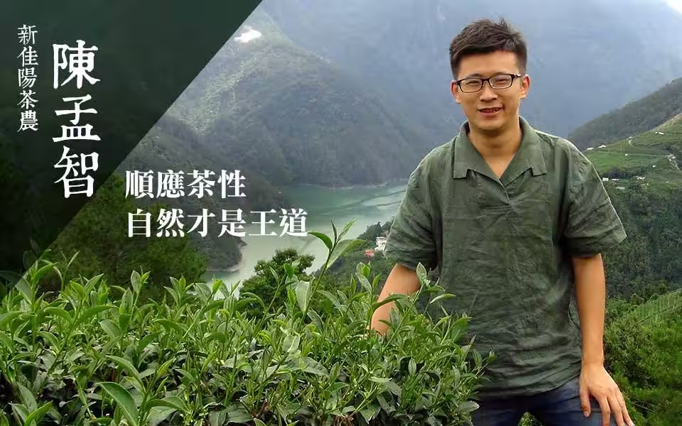 陳孟智在梨山新佳陽茶區