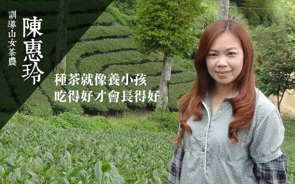陳惠玲在訓導山茶園中