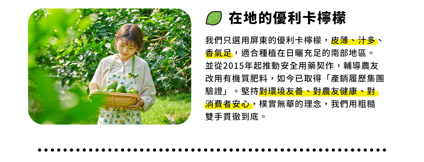 品牌故事5