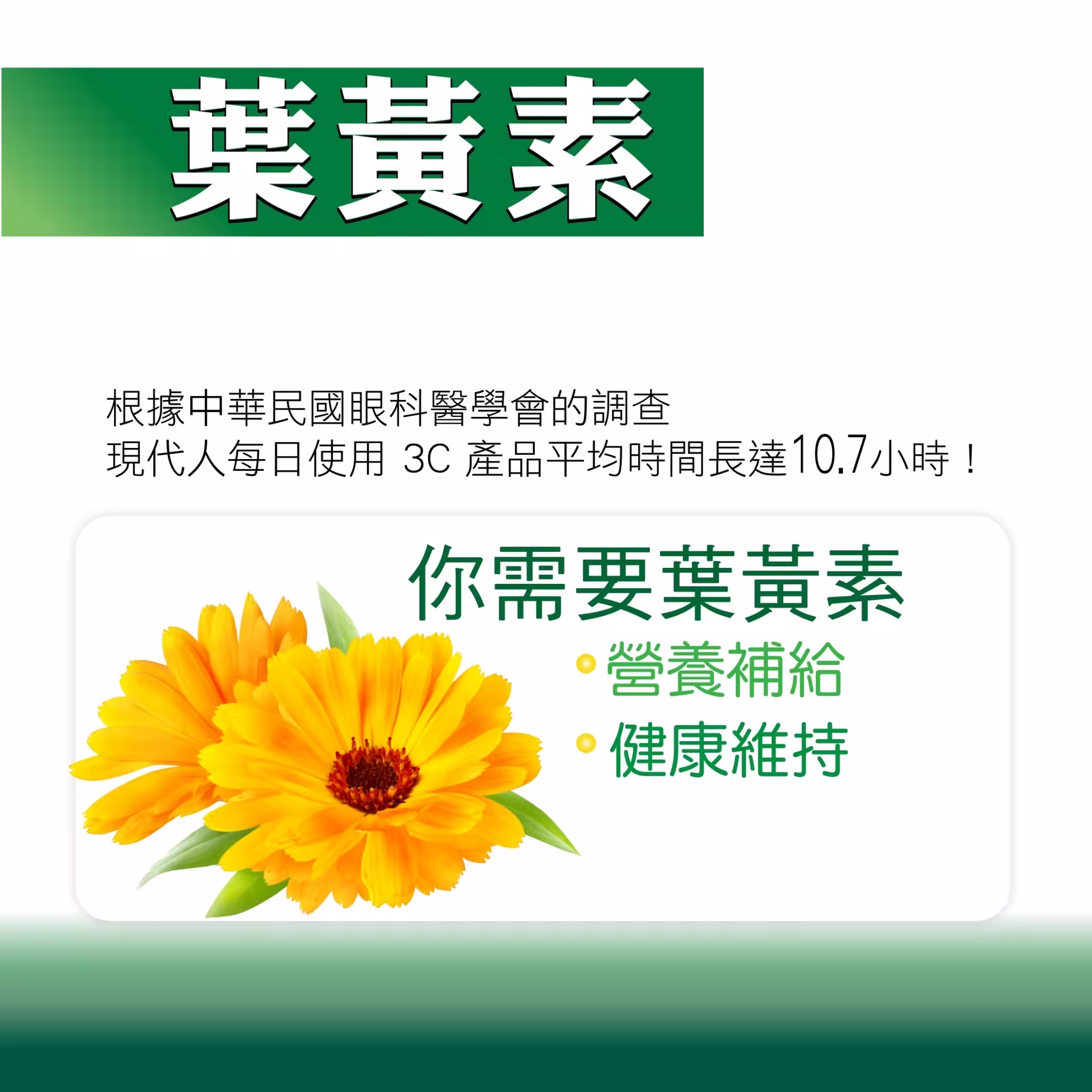 百優 複方葉黃素 素食膠囊 眼睛保健 美恆無限生醫 MeiHen 006