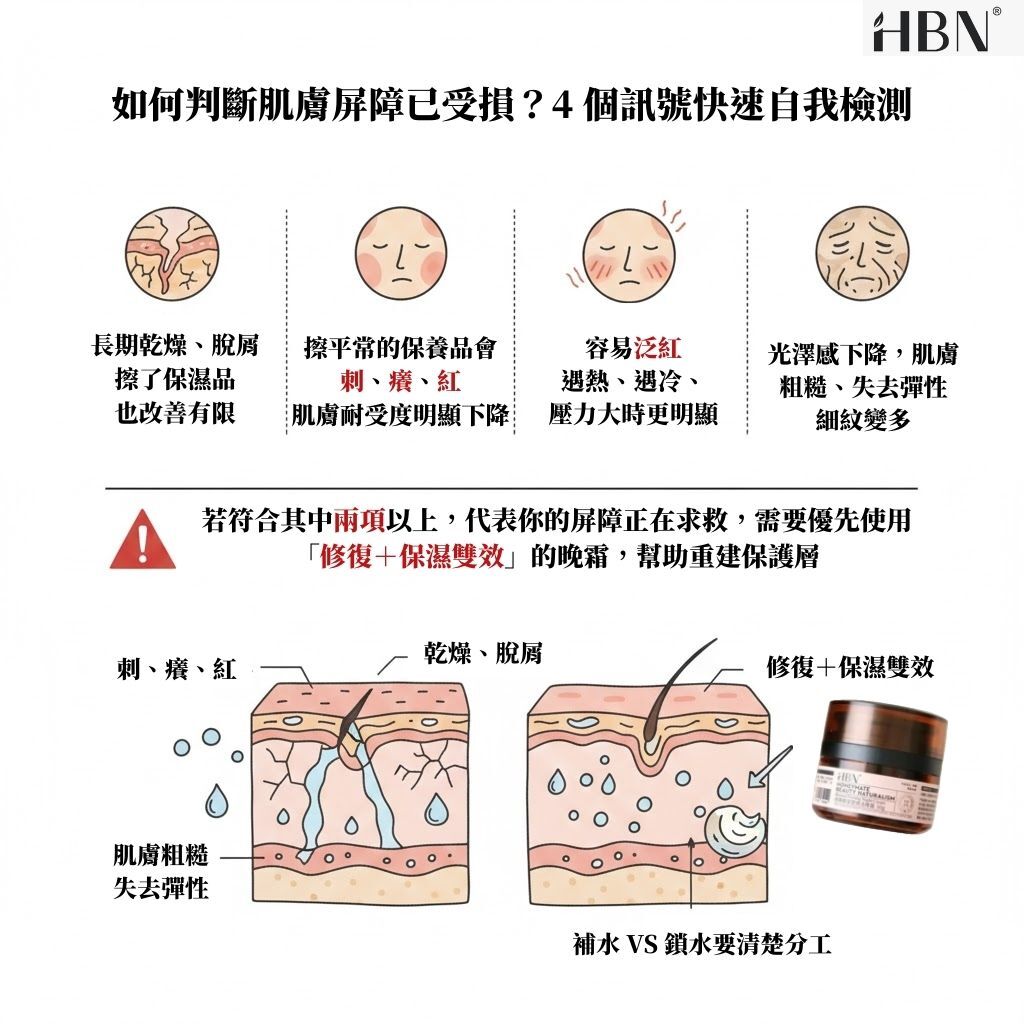 肌膚屏障受損與乾燥脫屑示意圖
