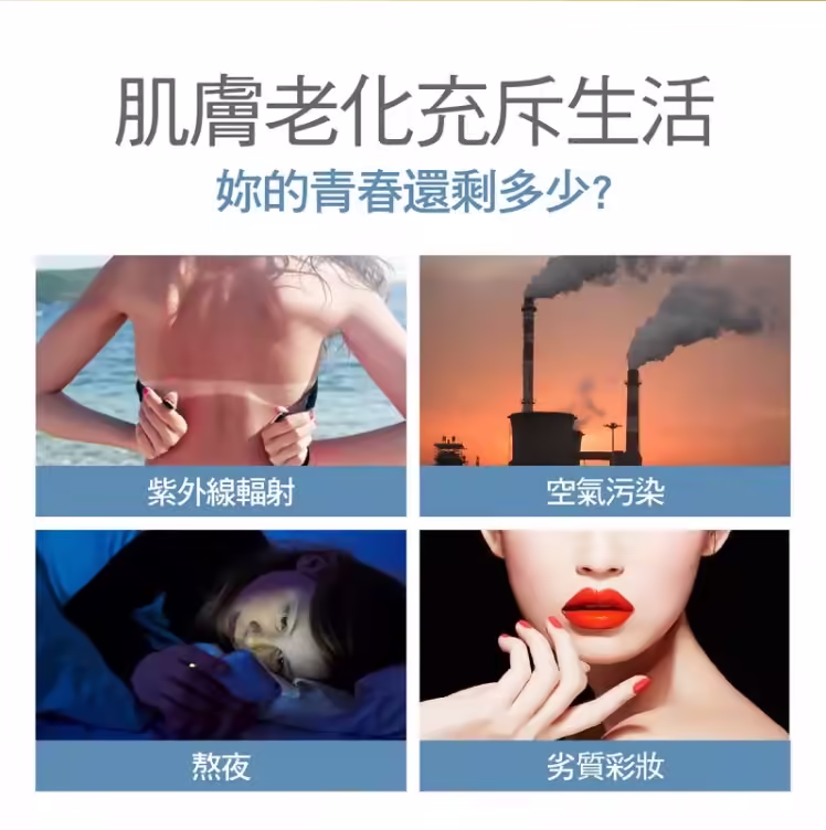 螢幕擷取畫面 2025-01-07 132653