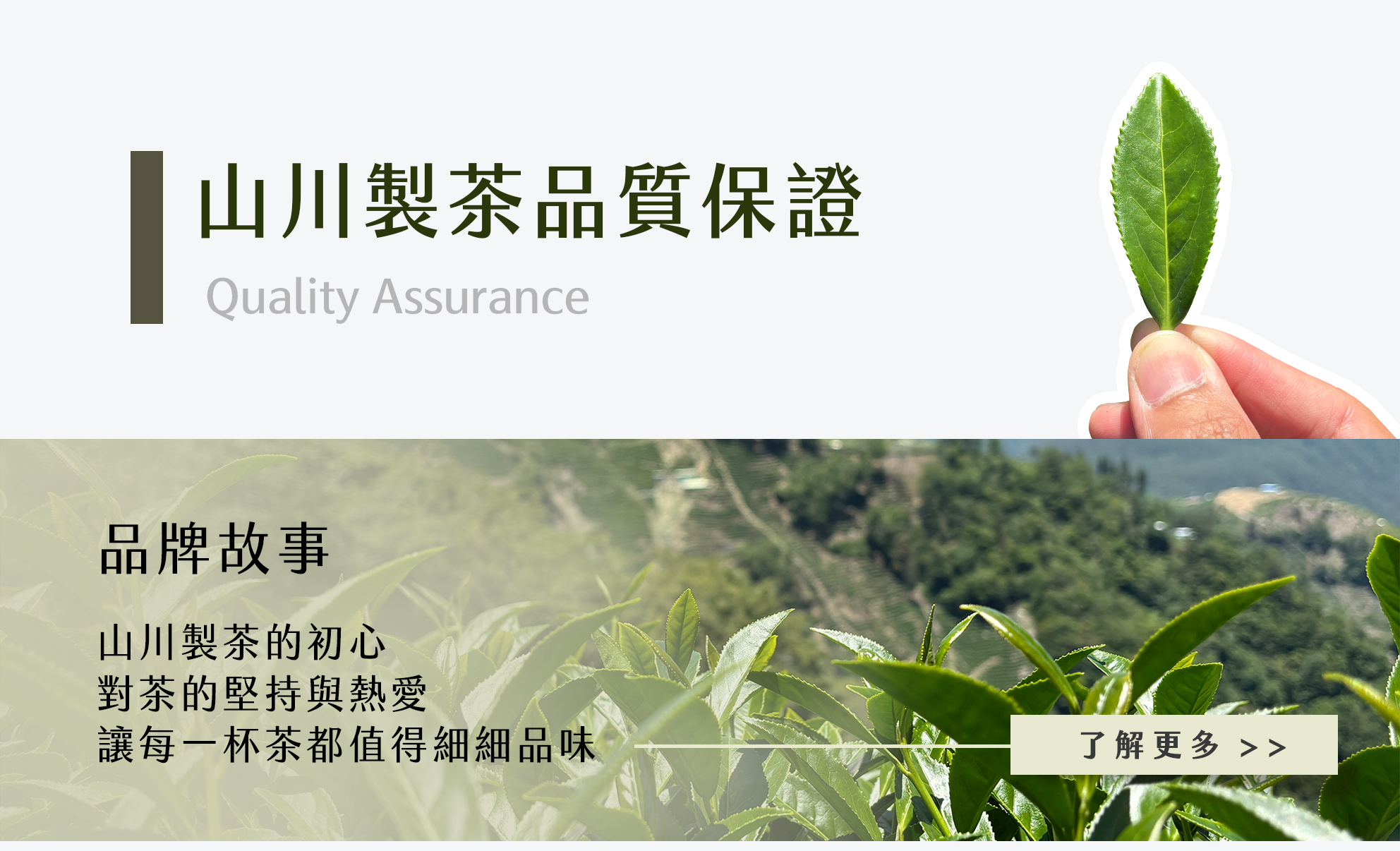山川製茶高山茶品質保證