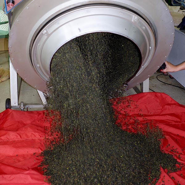 製茶工序再乾燥