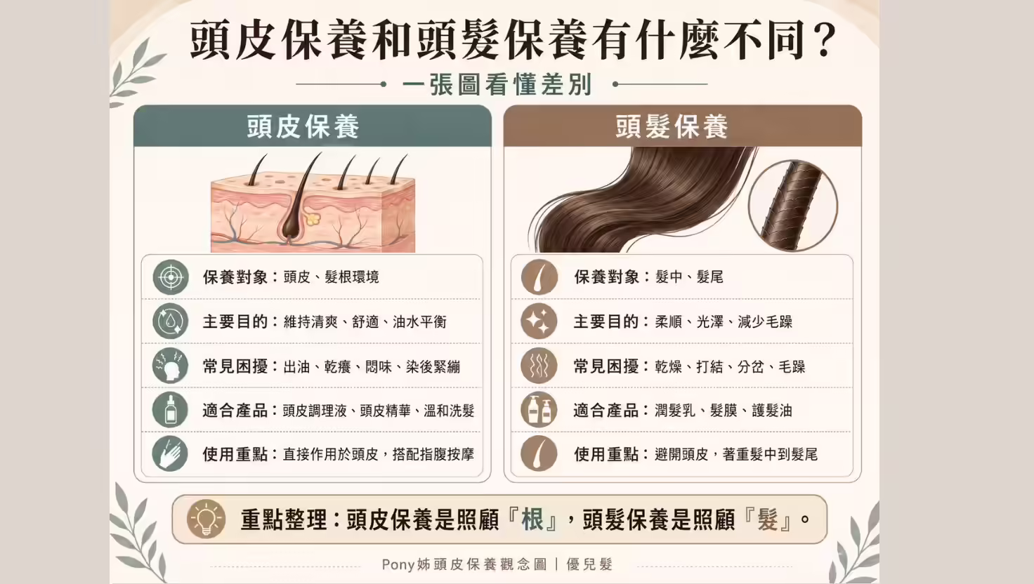頭皮保養和頭髮保養差別示意圖