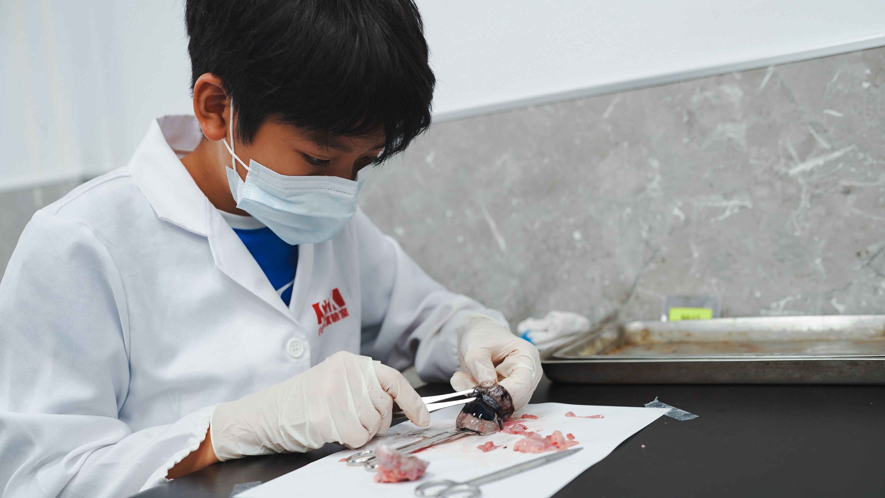 機智醫生實習營 課程情境