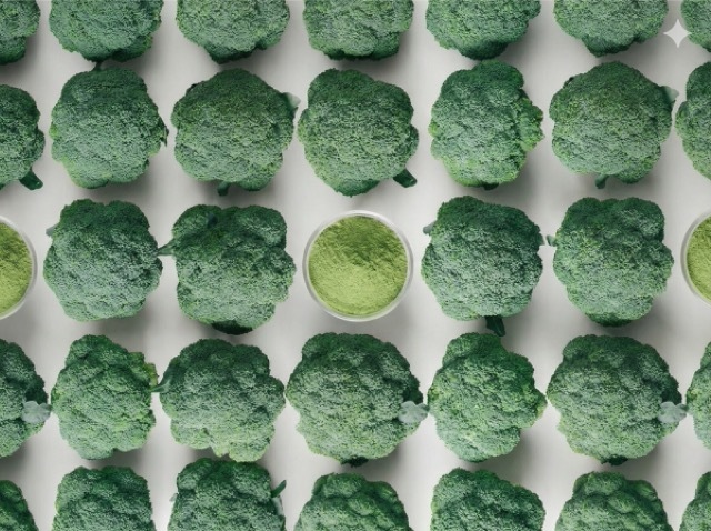 超級綠花椰防護示意