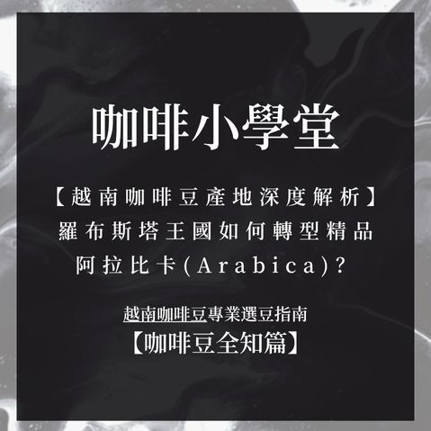 越南咖啡豆產地深度解析