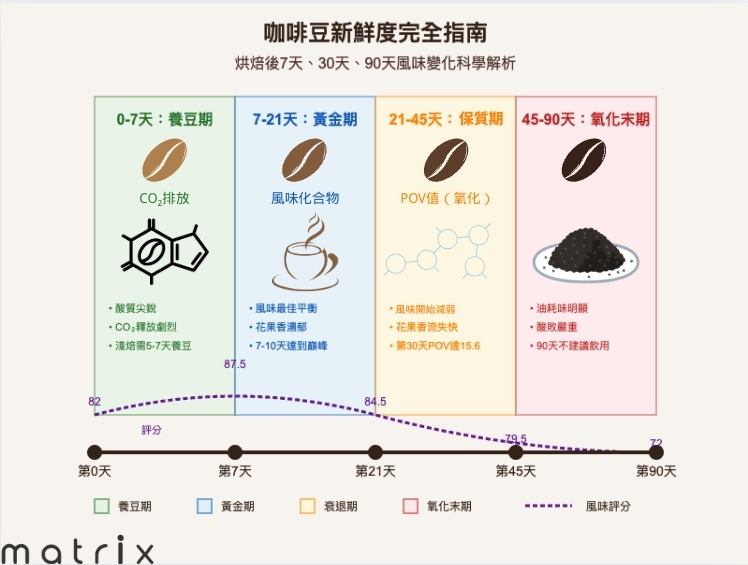 咖啡豆新鮮度時間軸與風味變化圖
