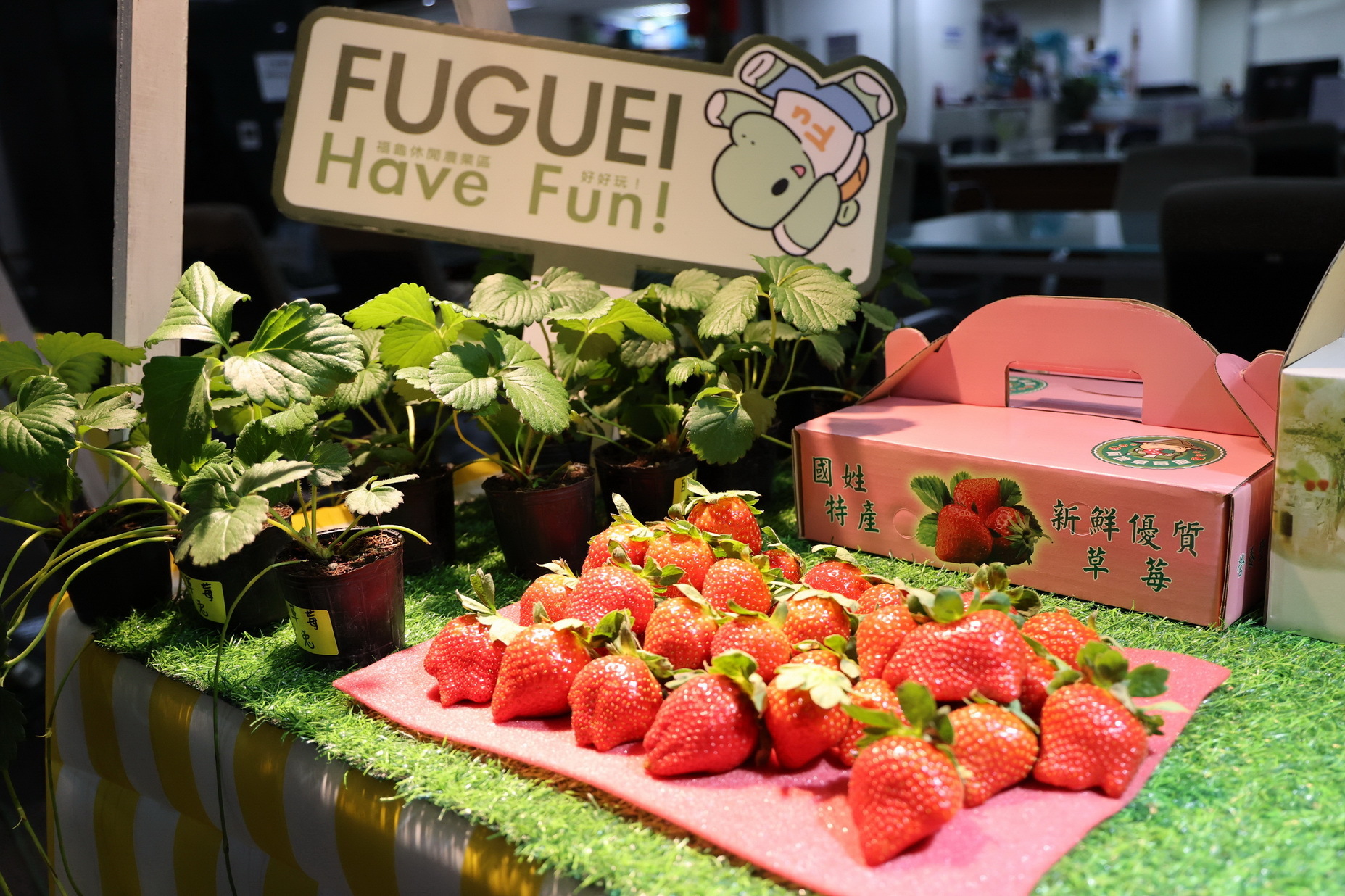 2026 南投國姓咖啡節宣傳記者會現場照