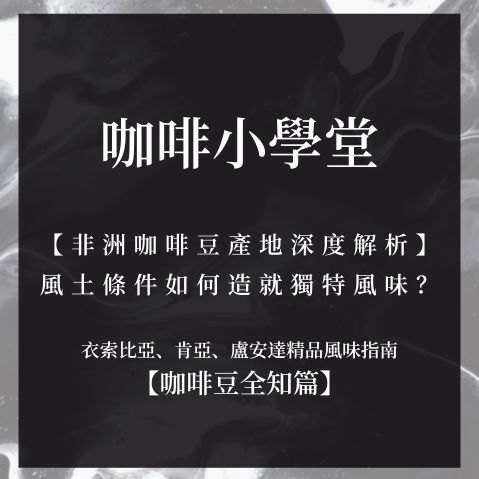 非洲咖啡豆產地深度解析
