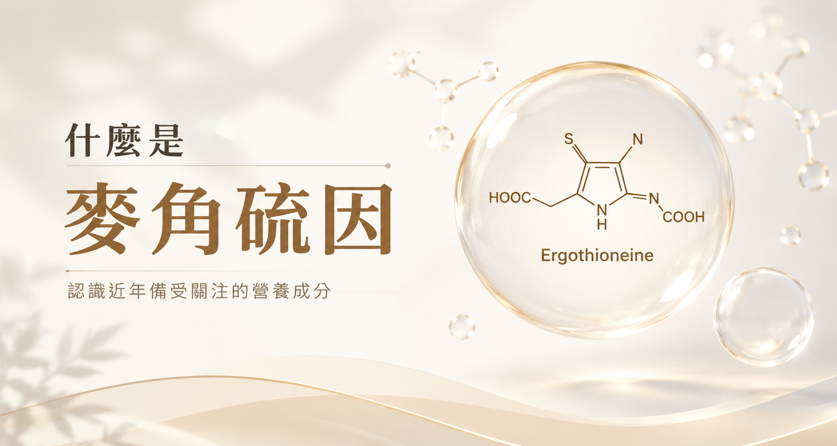 什麼是麥角硫因