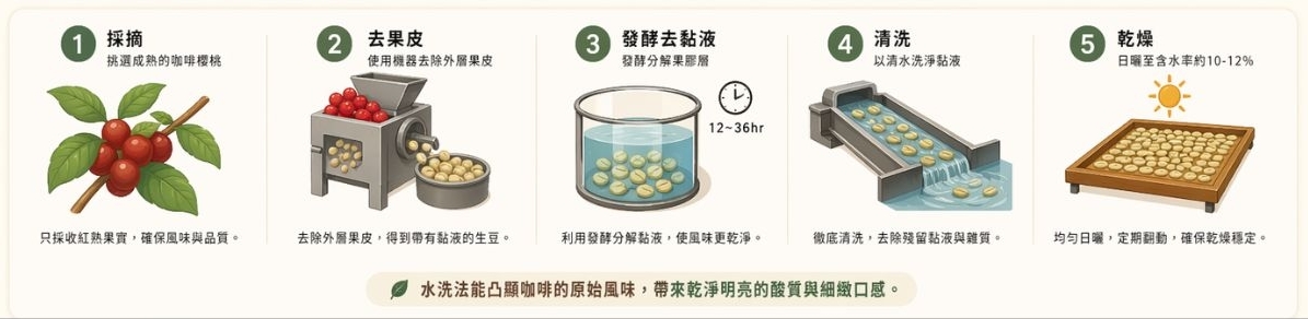 水洗豆的5步製作流程