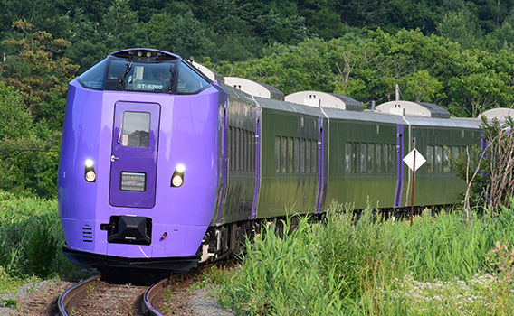 薰衣草特急 富良野美瑛慢車號 交通