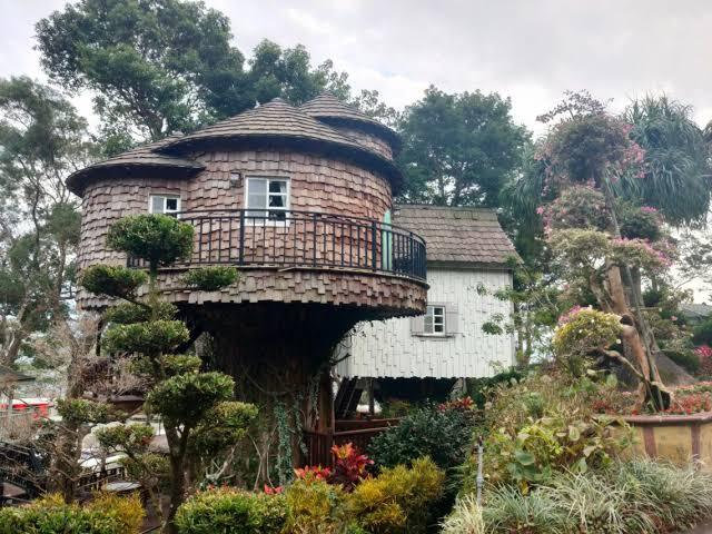 森林樹屋 Tree House 高處住宿建築