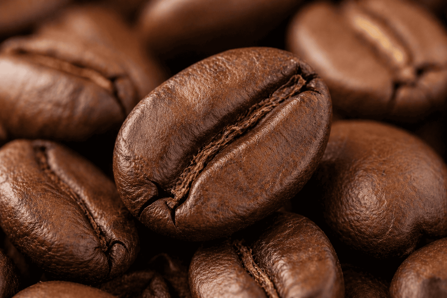 帕卡馬拉大顆粒咖啡豆特寫，展現厚實飽滿質感