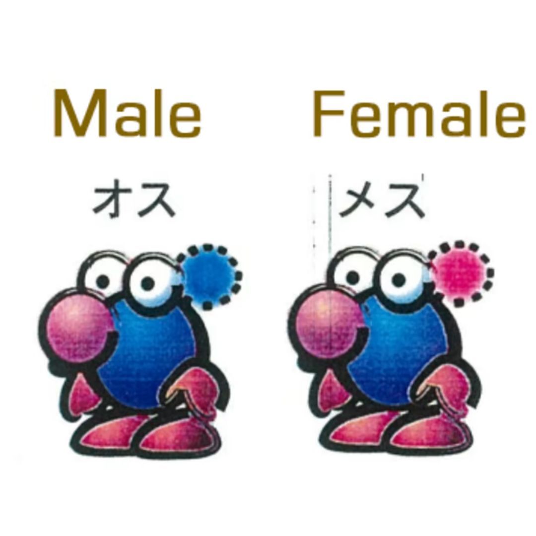 皮克敏早期概念設計圖