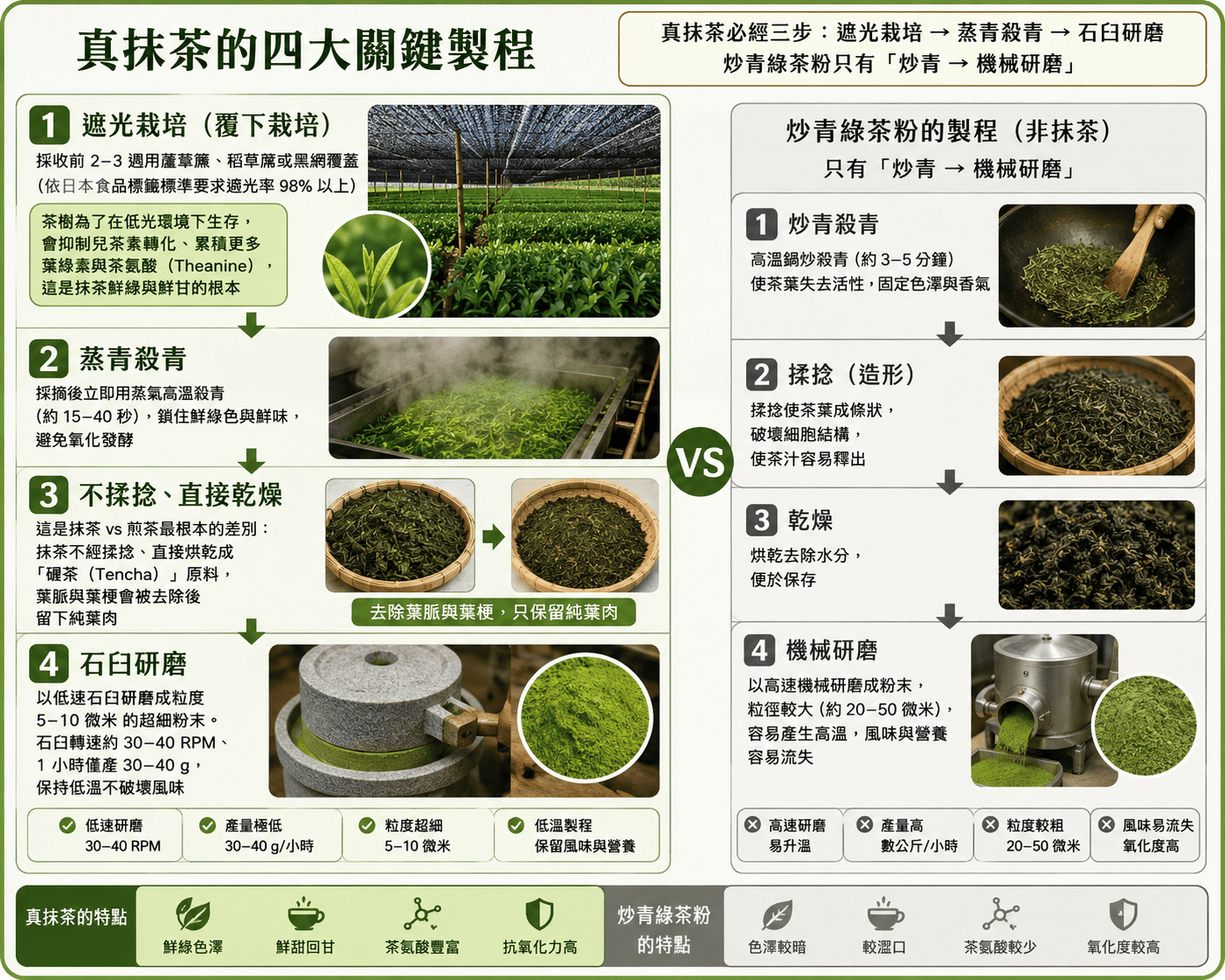 蒸青抹茶與炒青綠茶粉製程對比