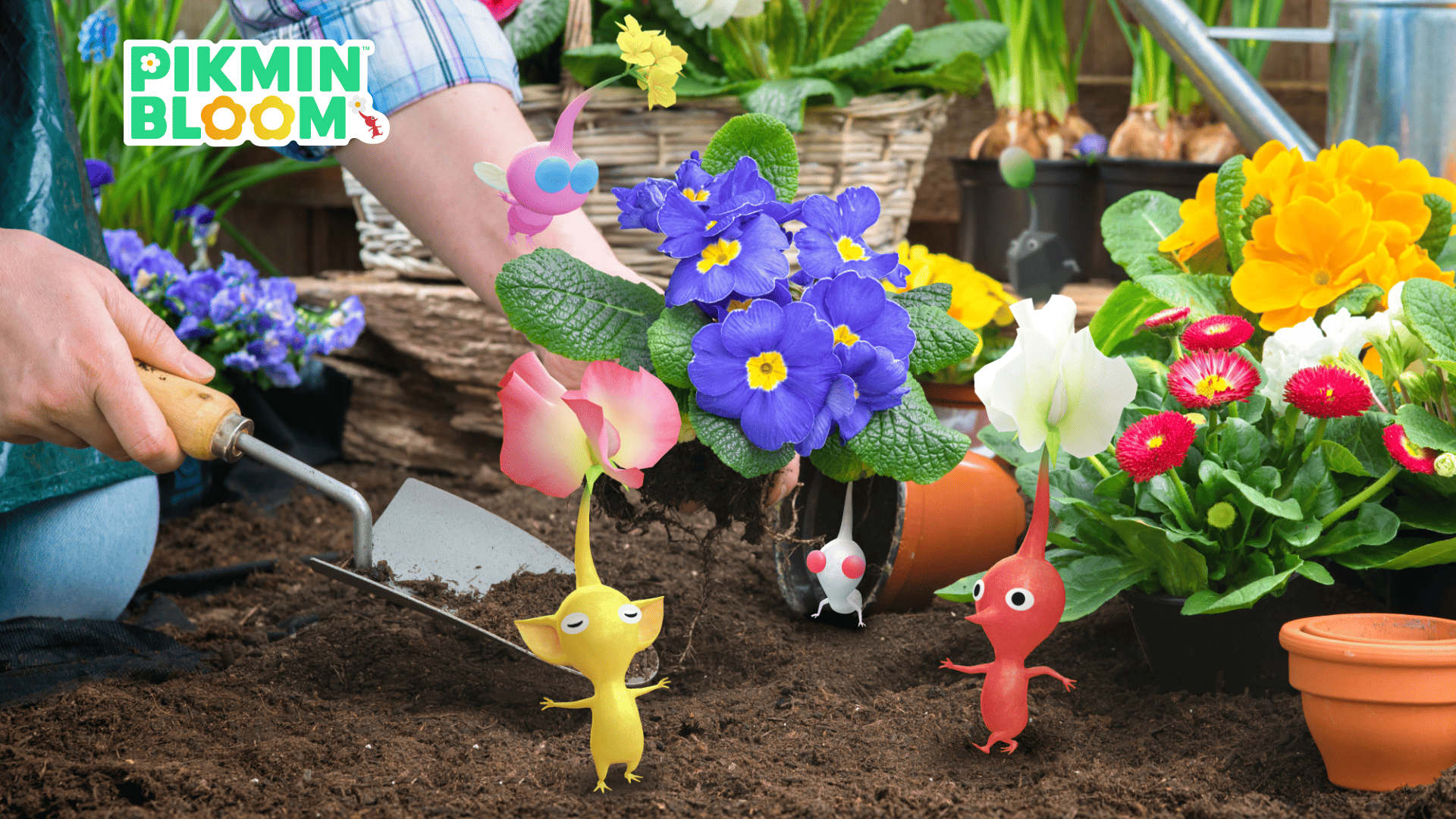Pikmin Bloom 地球日活動