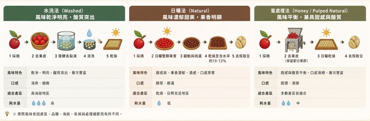 咖啡豆製作過程的三個處理法對比