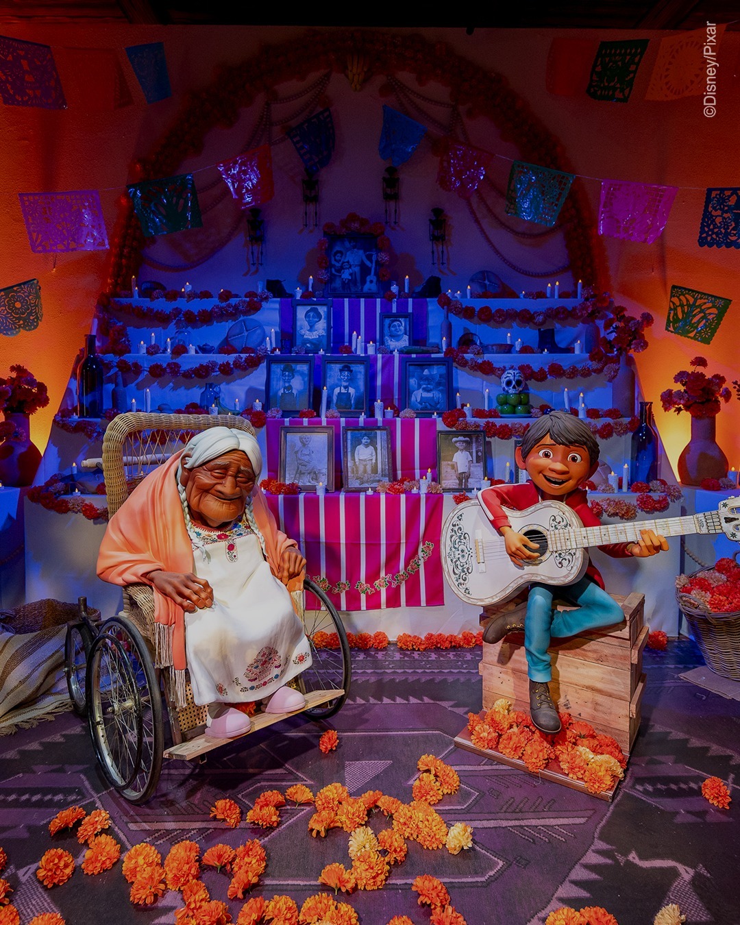 可可夜總會展區圖片