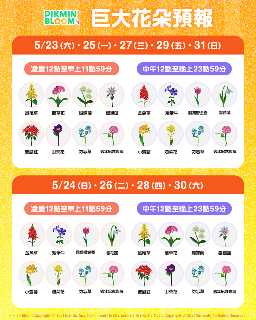 皮克敏社群週 巨花排程表 5/23-5/30 開花時段