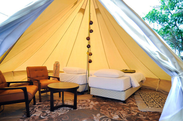 神殿帳 Bell Tent 豪華露營帳篷外觀