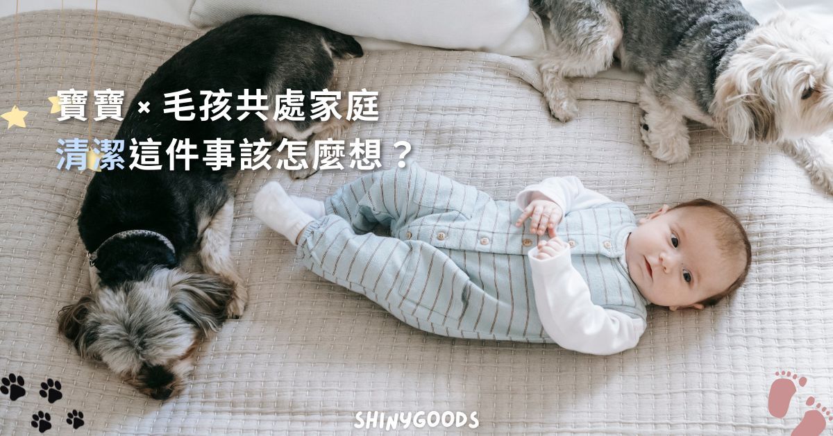 寶寶