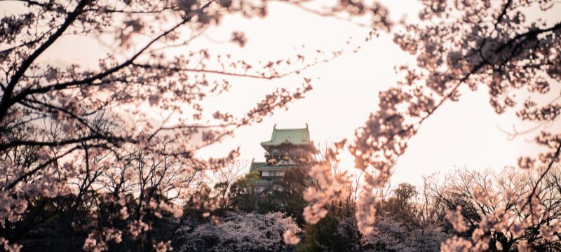 2026清明連假日本大阪道頓堀夜景・京都嵐山散櫻