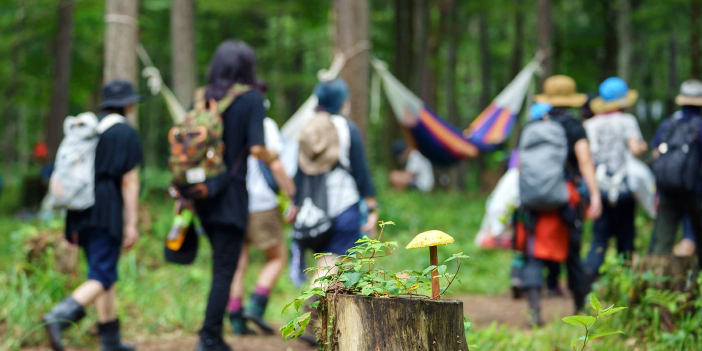 Fuji Rock 2026 票券種類與價格