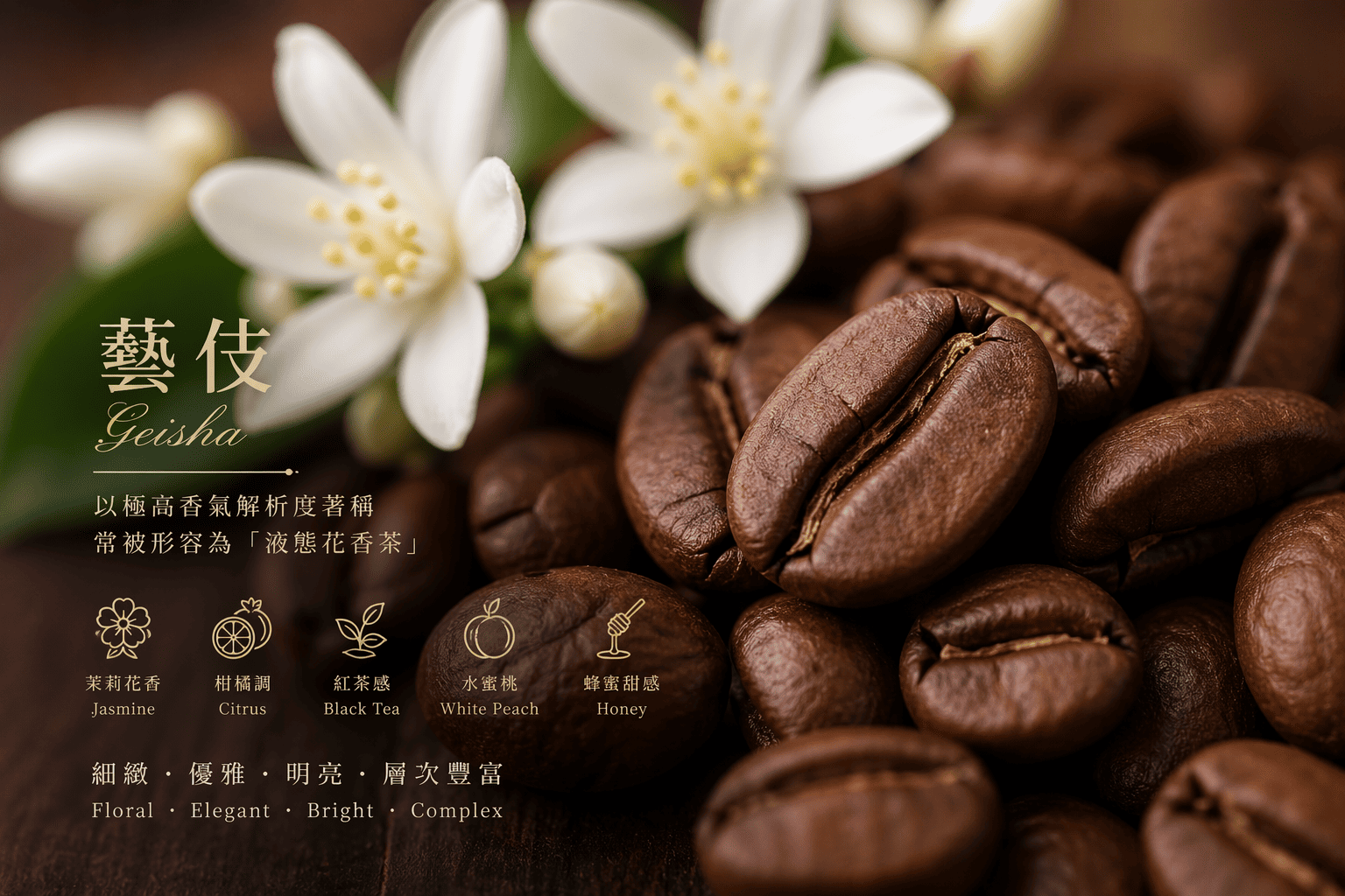 藝伎咖啡豆特寫－展現細膩花香與透明感